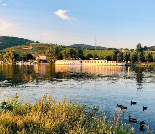 Gallery image of Florentina boat in Litoměřice