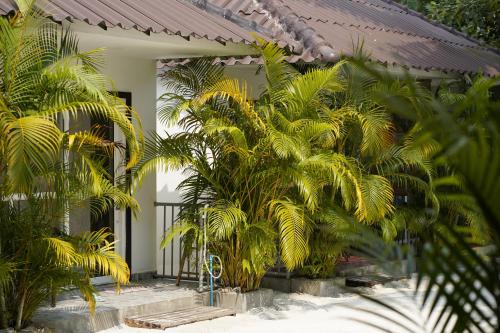 a group of palm trees in front of a house at WHITE SAND ARK RESORT in Koh Rong Island