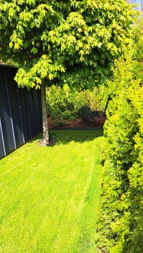 Sauerland-Tinyworld - Ihr Tiny Ferienhaus im Sauerland am Diemelseeにある庭