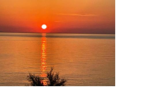 Φυσικό τοπίο κοντά σε αυτό το ξενοδοχείο