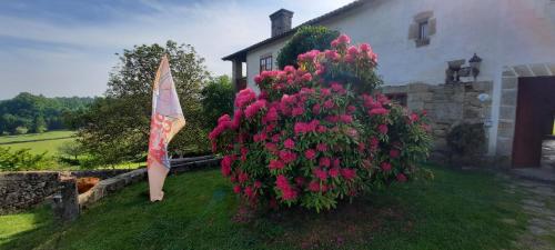 a bush of pink flowers in front of a house at Rectoral de Anllo in Sober