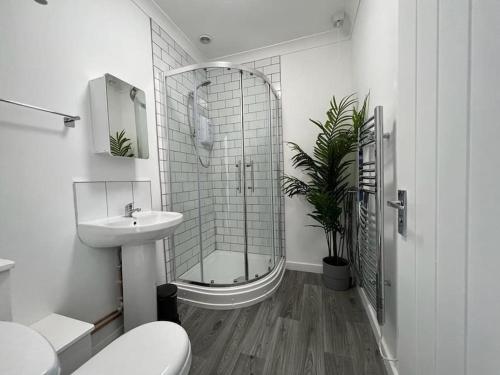 een badkamer met een douche, een toilet en een wastafel bij Flat 2 High Street Apartments, One Bed in Wellington