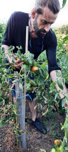 a man standing in a field with a bunch of vegetables at Rectoral de Anllo in Sober