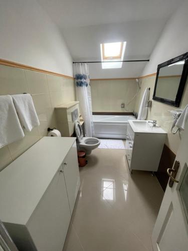 a small bathroom with a toilet and a sink at Eroilor II Apartament in Suceava