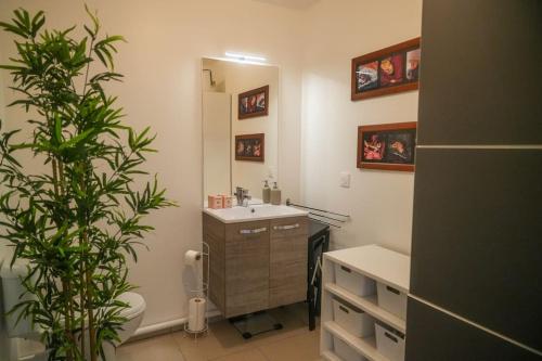 une salle de bain avec un lavabo et un miroir dans l'établissement Chez Elsa, confortable apt neuf avec parking privé, à Saint-Valery-sur-Somme