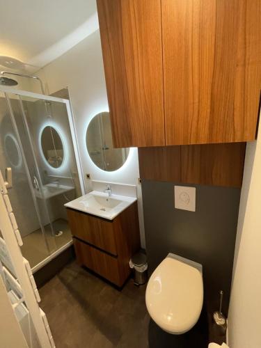 małą łazienkę z toaletą i umywalką w obiekcie Appartement en hypercentre Mont Dore w mieście Mont-Dore