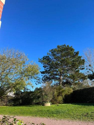 Photo de la galerie de l'établissement Le Donjon, bord de mer, à Tourgéville