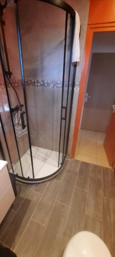 La salle de bains est pourvue d'une douche et de toilettes avec un miroir. dans l'établissement les théolats, à Rochefort-en-Valdaine