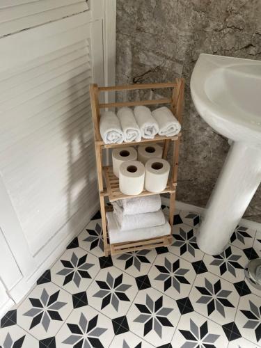 een badkamer met een rek toiletpapier en een wastafel bij Little Limetree in Moffat