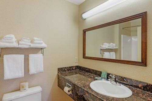 a bathroom with a sink and a mirror and a toilet at Best Western North Roanoke in Troutville