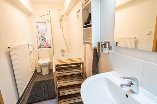 bagno con lavandino e servizi igienici di Fewo Schwarzwaldstern 1, Todtnau, 3 Schlafzimmer a Todtnau
