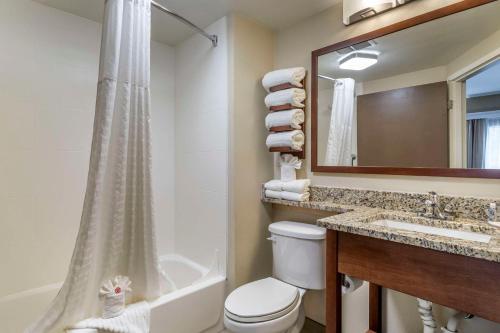 キングスポートにあるComfort Inn Kingsport Southeastの浴槽、トイレ、洗面台を備えたバスルーム