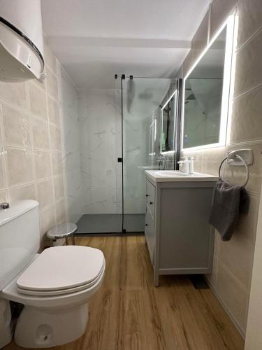 a bathroom with a toilet and a sink and a shower at El aparta de Ampa in Playa de Gandia