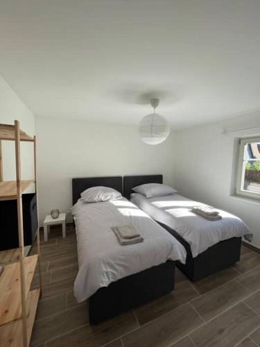 une chambre avec deux lits jumeaux dans une pièce dans l'établissement Doux Refuge avec Terrasse PARKING GRATUIT, à Beblenheim