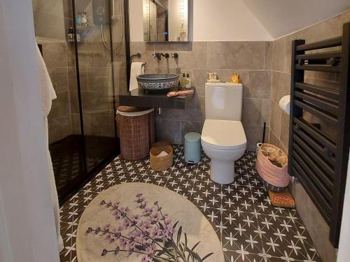 a bathroom with a toilet and a shower at Kipling Cottage in Burwash