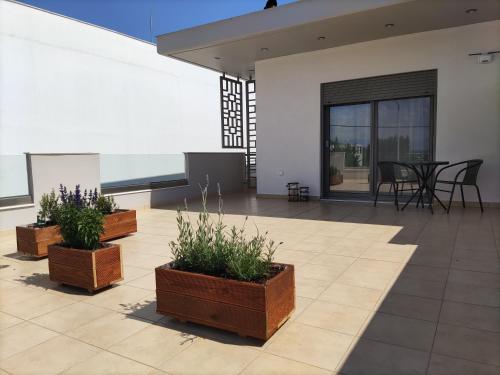 een patio met drie potplanten op een gebouw bij EmMi Houses in Ária