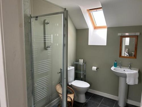 a bathroom with a shower and a toilet and a sink at The Wickerman Granary in Kirkcudbright