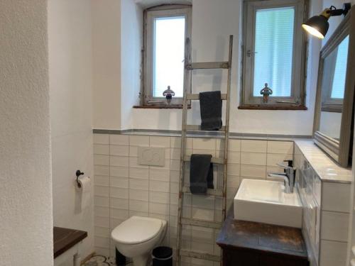 a bathroom with a toilet and a sink and two windows at Ferienwohnung Luise in Münsingen