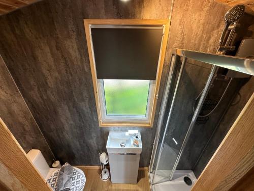 a small bathroom with a toilet and a window at Stags Hide in Minwear