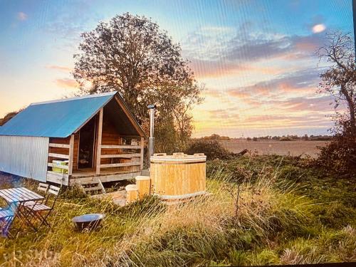 a cabin with a blue roof sitting in a field at Fen meadows glamping - Luxury cabins and Bell tents in Cambridge