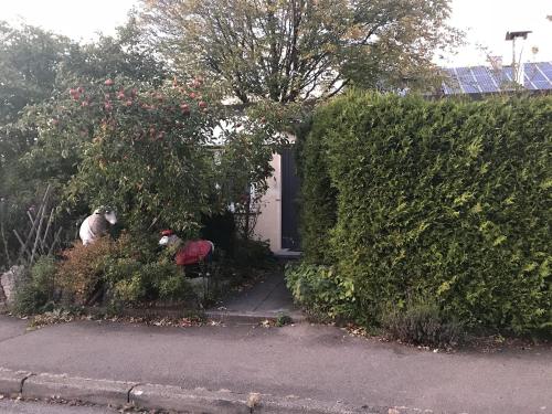 a couple of animals sitting in front of a hedge at Ferienhaus Schillerstraße in Münsingen