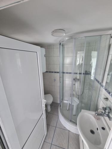 een badkamer met een douche, een wastafel en een toilet bij Kuća za odmor Mia in Bedekovčina