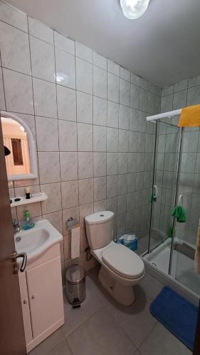 La salle de bains est pourvue de toilettes, d'un lavabo et d'une douche. dans l'établissement Ioannis Ylation, à Nicosie