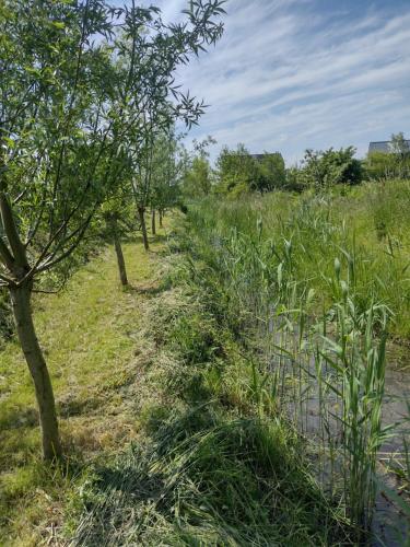 Galería fotográfica de Tuinhuisje in het groen en Almere