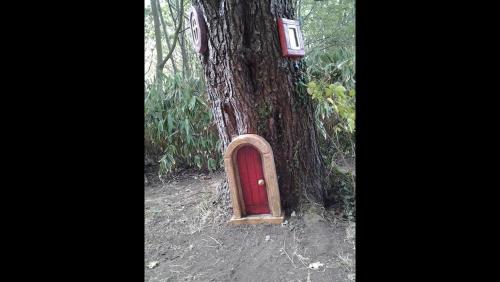 a tree with a red door in a forest at The Downshire Arms Apartments Hilltown in Newry