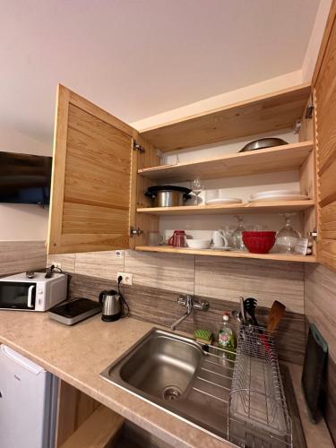 a kitchen with a sink and a microwave at Farma Albert Korzenie in Pruchnik-Miasto
