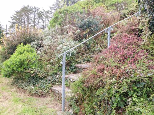 a set of stairs on a hill with plants at Whispering Pines in Bantry
