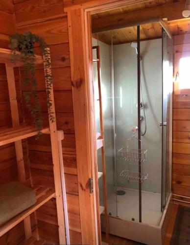 a shower in a wooden cabin with a glass door at Quinta campò chalet in Alcantarilha
