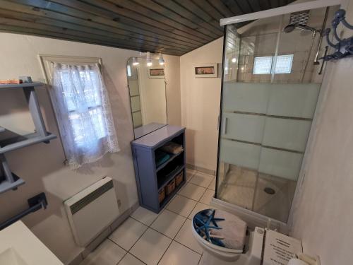 une petite salle de bain avec douche et toilettes dans l'établissement Maisonnette en pleine nature, au Beausset