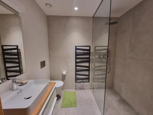 a bathroom with a sink and a shower and a toilet at Quiet 1-bedroom in a basement of new villa in Prague