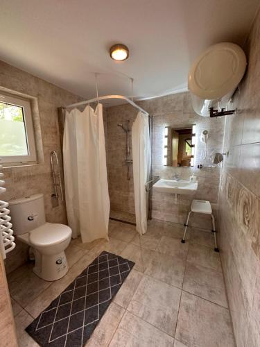 a bathroom with a toilet and a sink at Farma Albert Korzenie in Pruchnik-Miasto