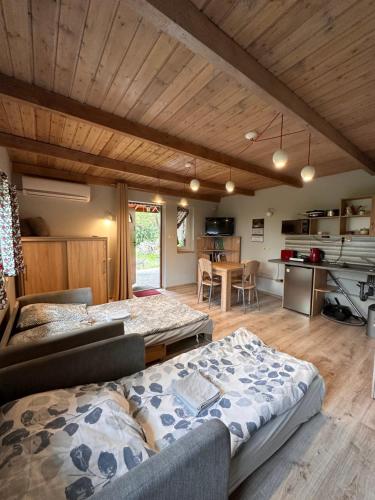 a living room with a bed and a kitchen at Farma Albert Korzenie in Pruchnik-Miasto