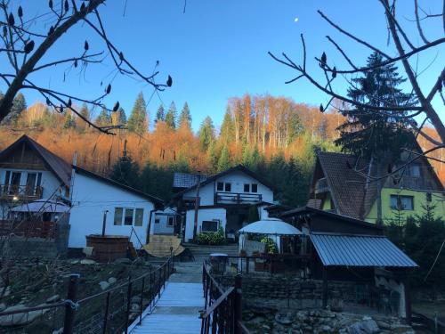 Bangunan di mana terletaknya lodge