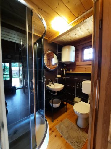 ein Bad mit einer Dusche, einem WC und einem Waschbecken in der Unterkunft Zielony domek na Kaszubach in Dziemiany