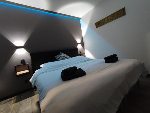Posteľ alebo postele v izbe v ubytovaní L'ACIÉRIE Logis de luxe avec Jacuzzi