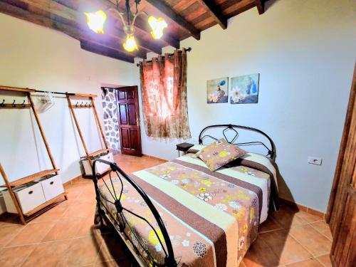 ein Schlafzimmer mit einem Bett in einem Zimmer in der Unterkunft Finca Los Loros Icod de los Vinos by HRTenerife Net in Santa Cruz de Tenerife