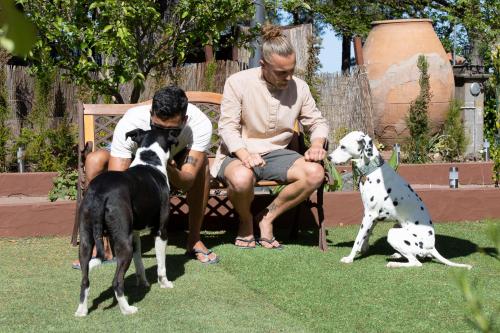 two men sitting on a bench with two dogs at Hotel Rural El Refugio in Tejeda
