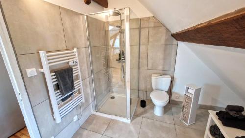une salle de bain avec douche et toilettes dans l'établissement Moulin des ducs grand format by Vindihouses - piscine chaffée - escalade - billard - fitness - etc, à Épinac-les-Mines