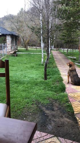 Fotografie z fotogalerie ubytování Gioia Resort v destinaci Voskopojë