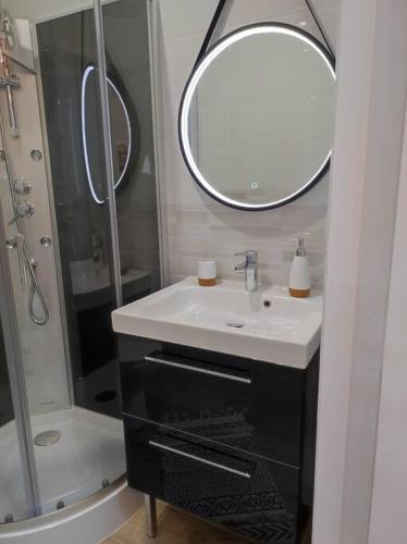 La salle de bains est pourvue d'un lavabo et d'un miroir. dans l'établissement Studio de charme indépendant, à Belin-Beliet