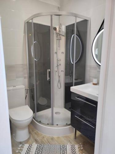 y baño con ducha, aseo y lavamanos. en Studio de charme indépendant en Belin-Beliet