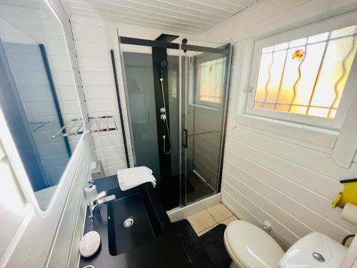 mała łazienka z prysznicem i toaletą w obiekcie Chalet domaine forge 6-8pers jacuzzi terrasse plancha proche commerces w mieście La Teste-de-Buch