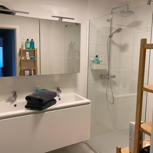 ein weißes Bad mit einem Waschbecken und einer Dusche in der Unterkunft Le Sable Doux - Gent in Gent