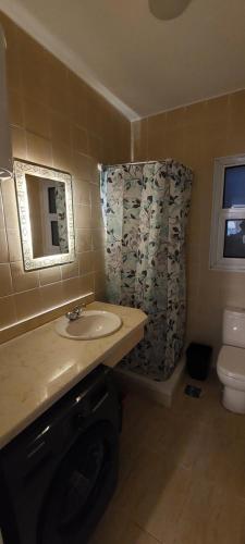 艾因蘇赫納的住宿－Chalet in Blumar El Dome for families only，一间带水槽和淋浴帘的浴室