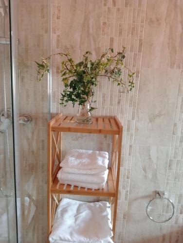 a bathroom with a shelf with towels and a shower at Casa da fonte in Pontevedra