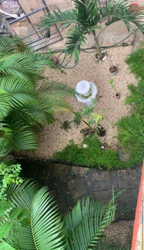 Un jardín fuera de posada cándita
